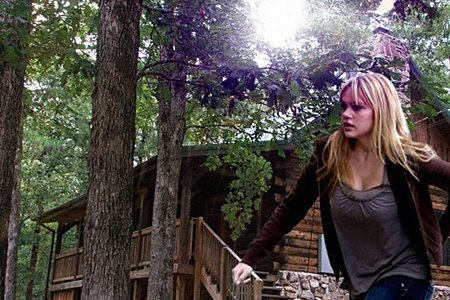 Хижина в лесу (2011)
