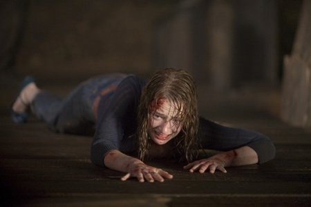 Хижина в лесу (2011)