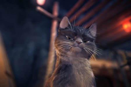 Шевели ластами (2010)
