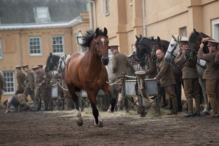Боевой конь (2011)