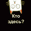 Фото пользователя